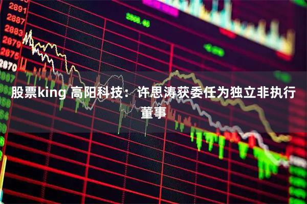 股票king 高阳科技:许思涛获委任为独立非执行董事