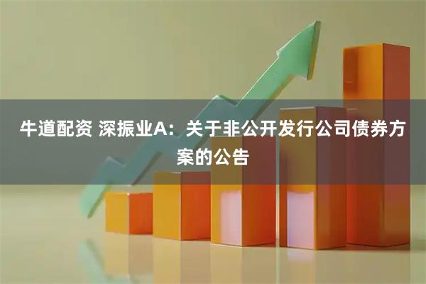 牛道配资 深振业A：关于非公开发行公司债券方案的公告