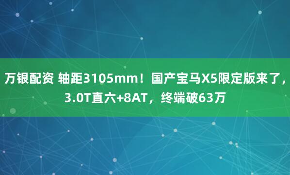 万银配资 轴距3105mm！国产宝马X5限定版来了，3.0T直六+8AT，终端破63万