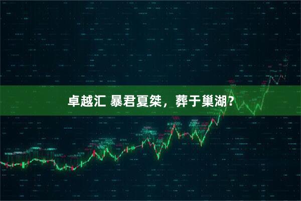卓越汇 暴君夏桀，葬于巢湖？