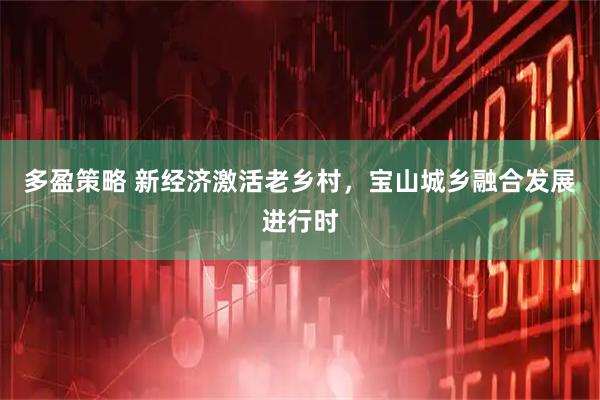 多盈策略 新经济激活老乡村,宝山城乡融合发展进行时